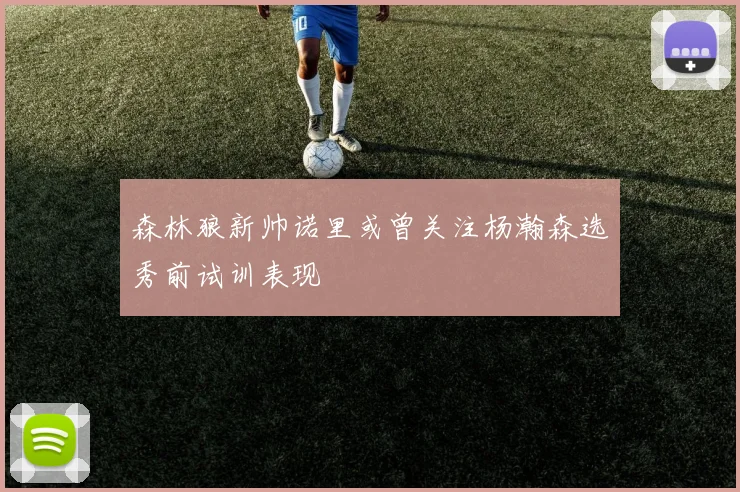 森林狼新帅诺里或曾关注杨瀚森选秀前试训表现