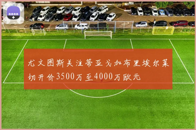尤文图斯关注蒂亚戈加布里埃尔莱切开价3500万至4000万欧元