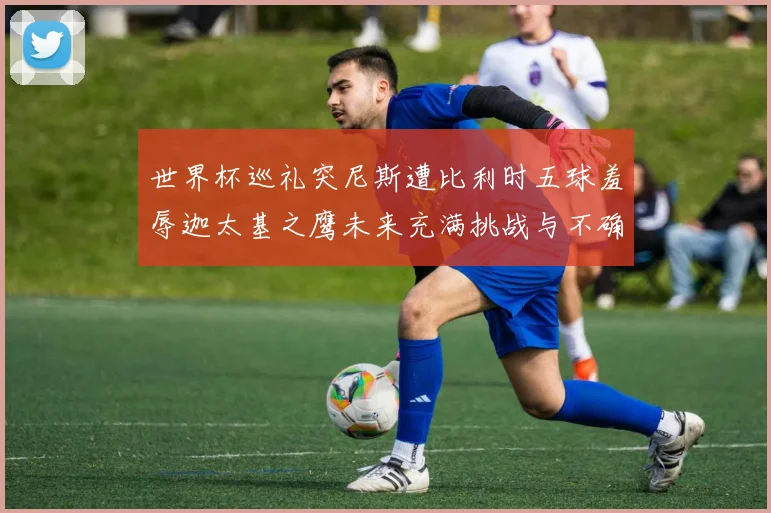 世界杯巡礼突尼斯遭比利时五球羞辱迦太基之鹰未来充满挑战与不确定性